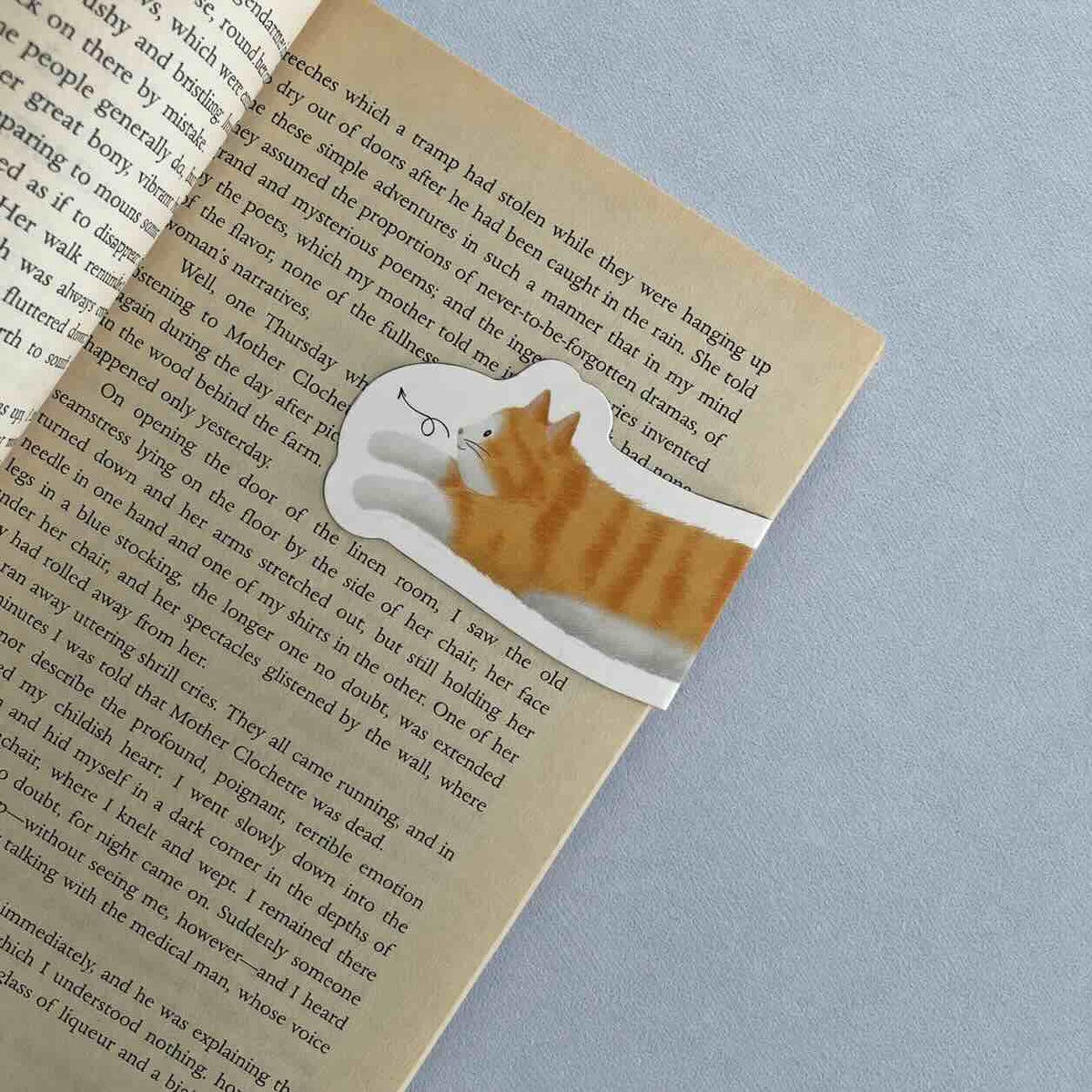 Orange Tabby Cat — House Friends Magnetic Page Marker · 2 PCS