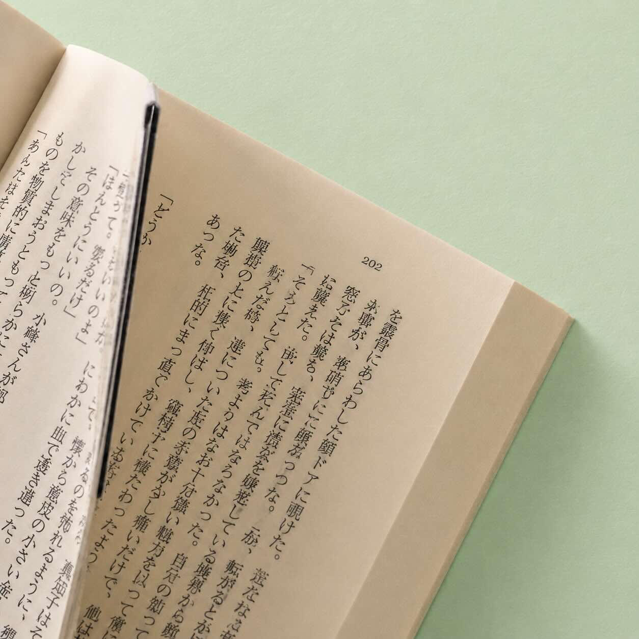 Unicorn — Readers' Club Exclusive ☆ Magnetic Bookmark